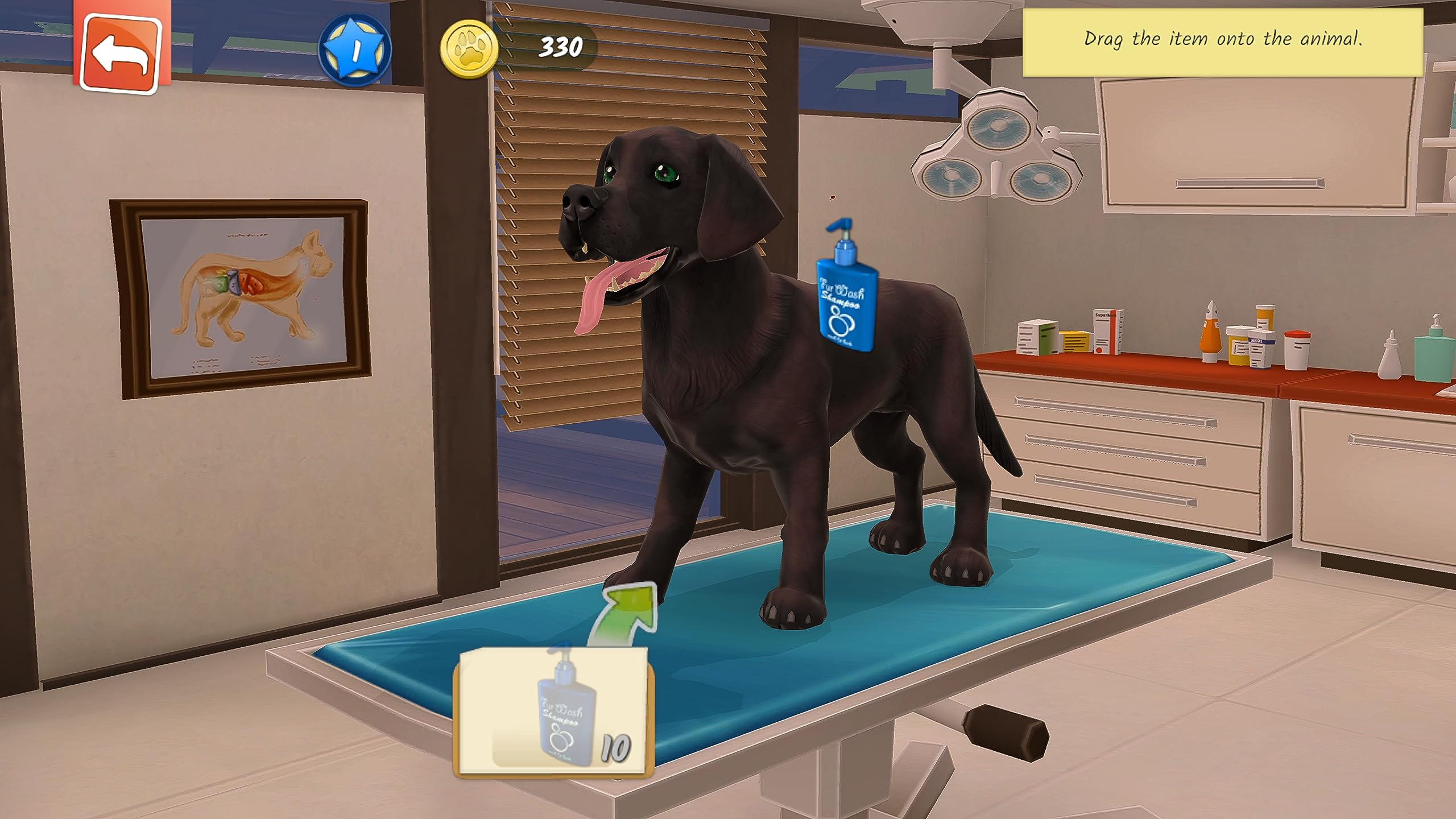Animal Hospital PS5