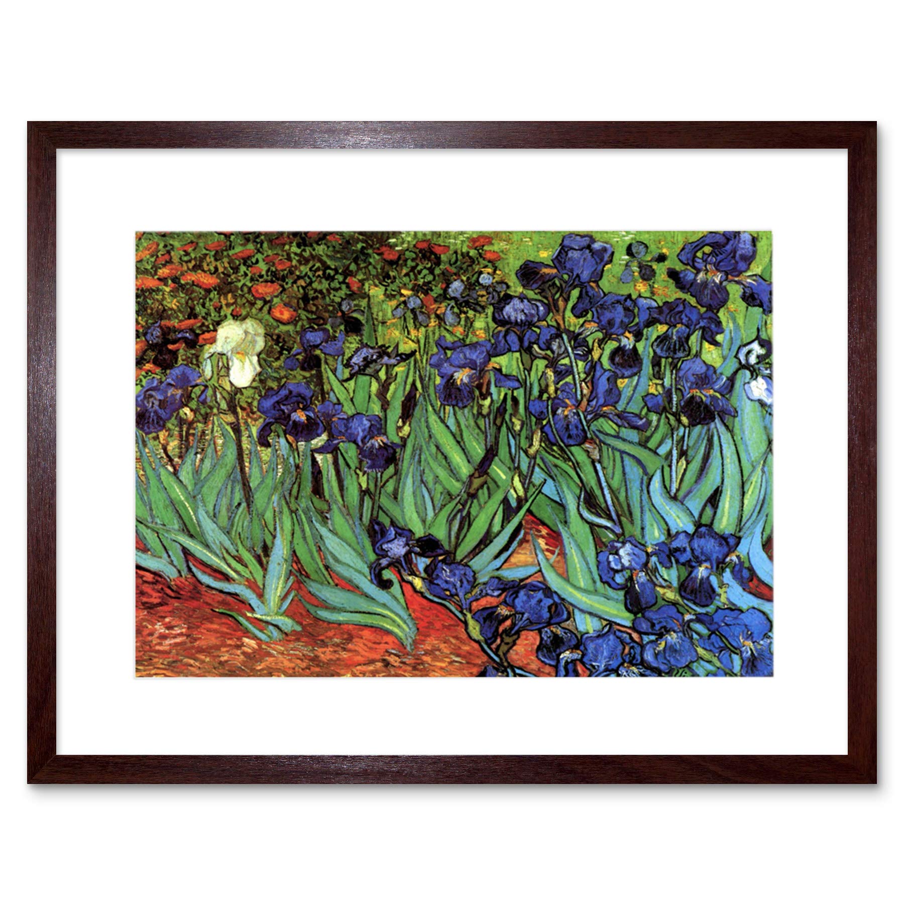 Wee Blue Coo Van Gogh Irises Old Master Picture Framed Wall Art Print