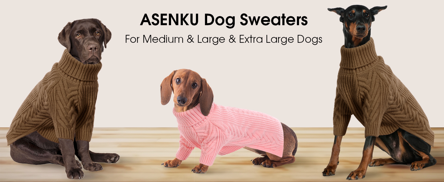 IECOii