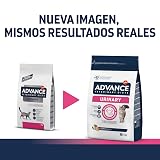 Ver la foto 2