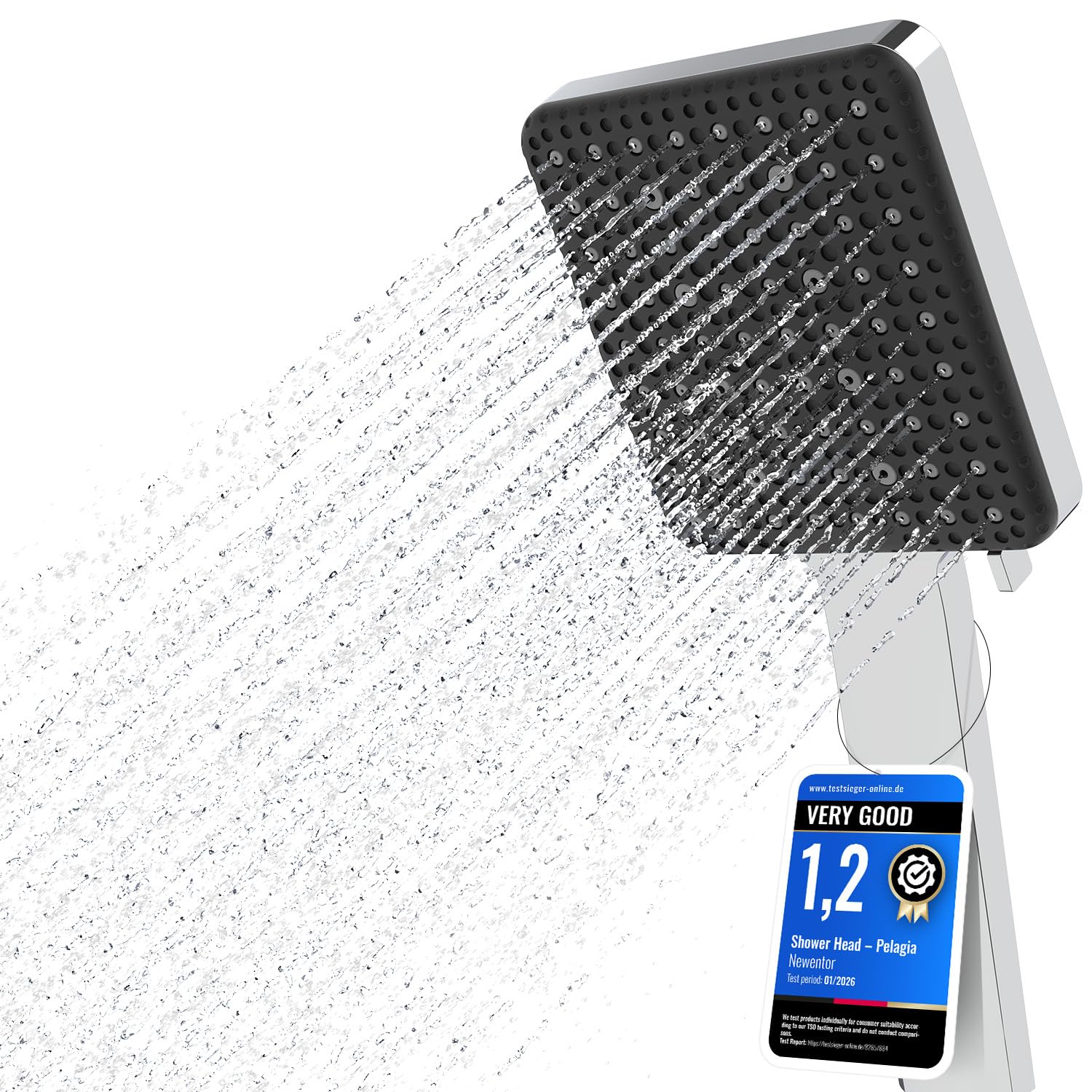 Pomme de douche haute pression amovible pour résoudre le calcaire