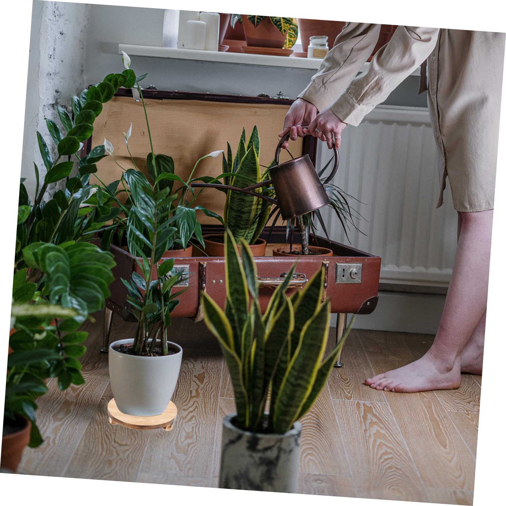 TOYANDONA Soporte de Madera Redondo Fácil Instalación y Reutilizable para Macetas Base Estable Adecuado para Plantas en Maceta Salón o Escritorio