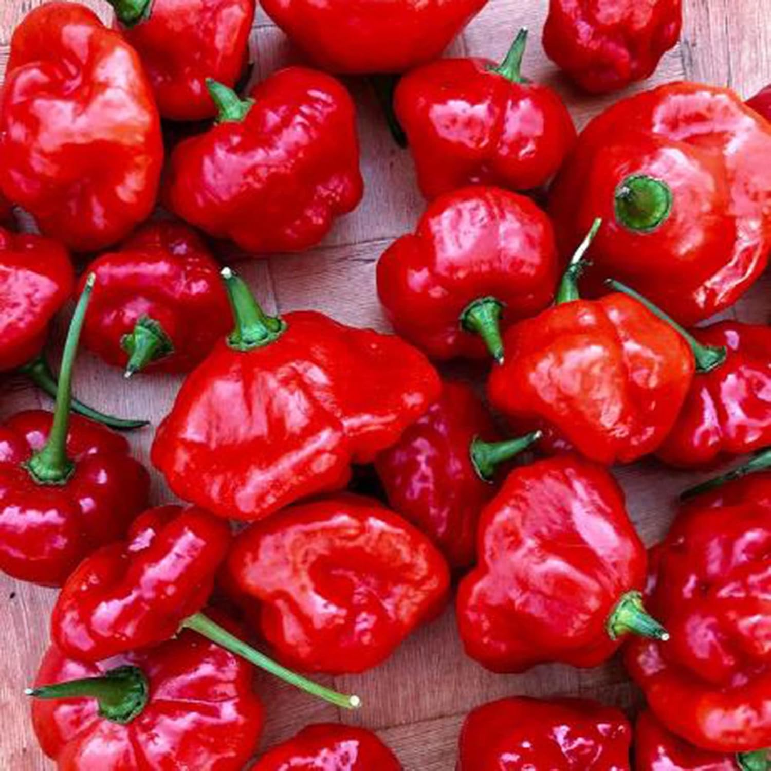 Pepper Seeds for Planting NonGMO Heirloom Aji Dulce