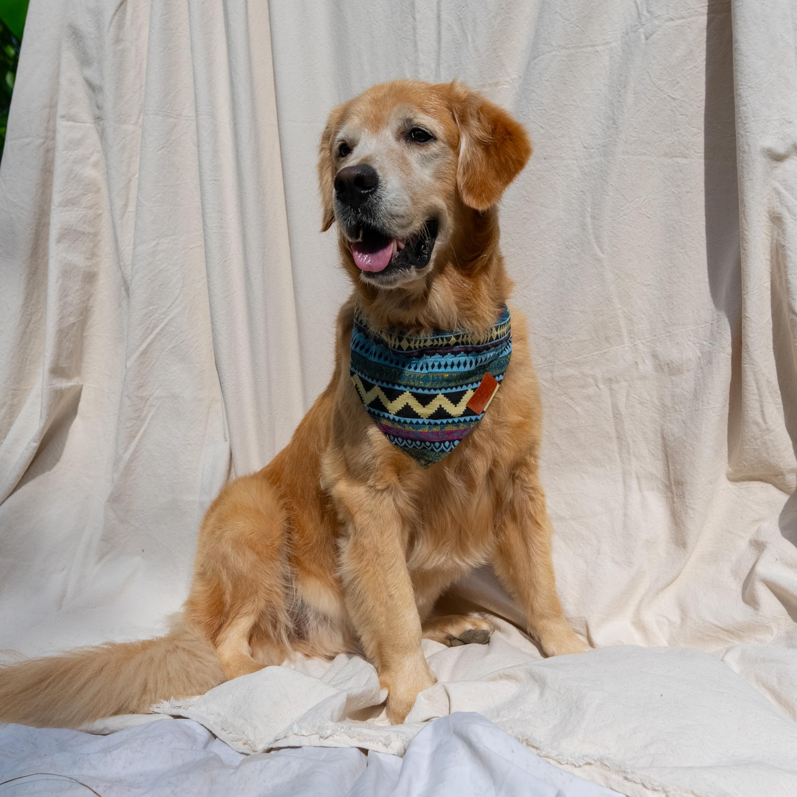 Made by Nami Boho Dog Bandana in Various Sizes for Small and Large Dogs (Blue, S) - Image 4