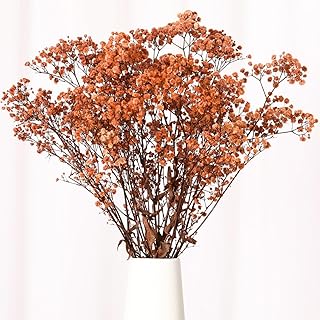 Babys Breath Dried Flowers Bouquet-17'' 1800+ Ivory Dry Flowers, Natural Gypsophila Branches for Wedding, Home Table Vase Decor, DIY Wreath Floral, Fall Thanksgiving Autumn Decoration (Brown, 2oz)