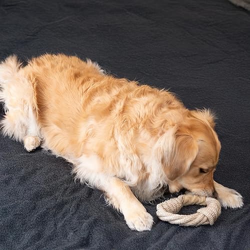 Miniatura 12 de SPOT Dura-Fused - Anillos de cuero de animales – Juguete de cuerda para perro, hecho con cuero real y tela de yute, anillo de cuerda duradero es