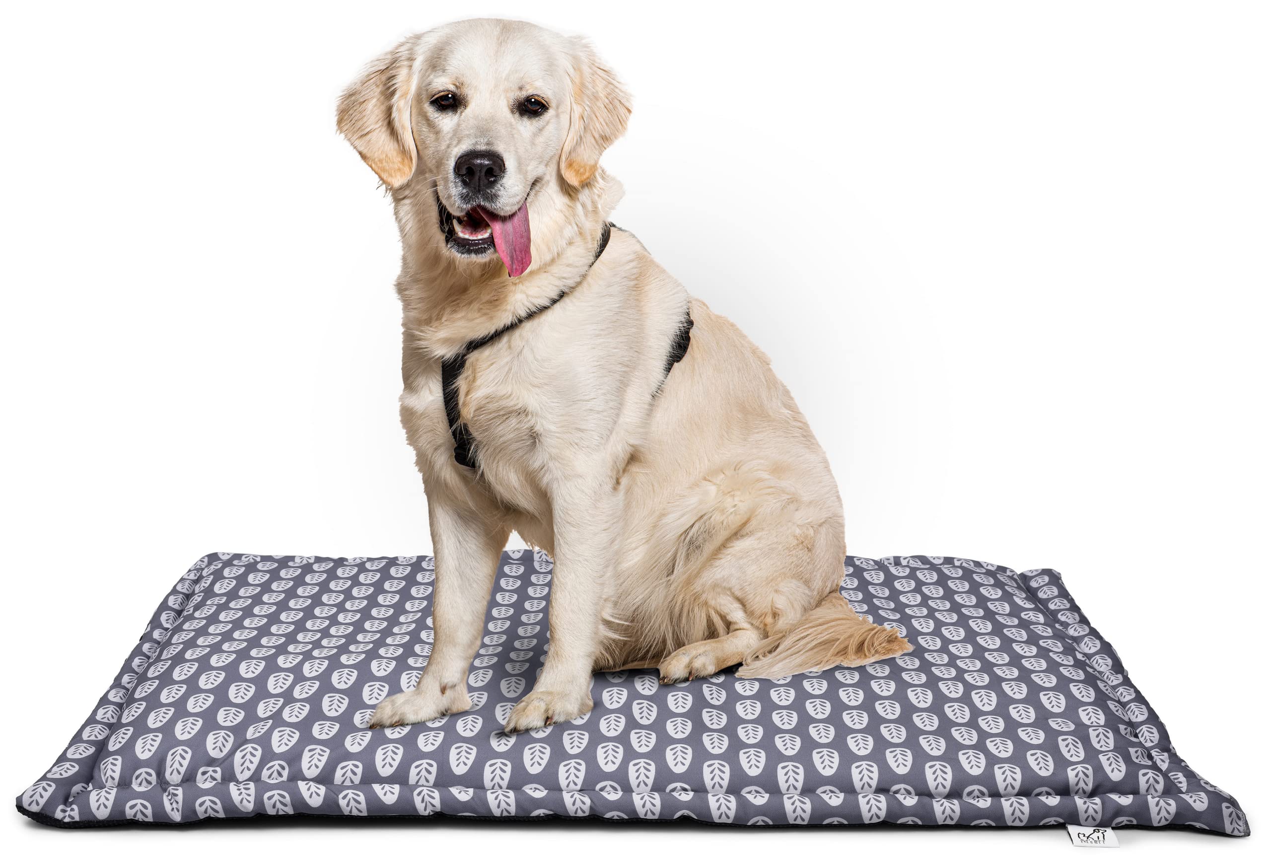 Pets BFF Printed Sheet with Polyfill Stuffing for Pets - 50 x 70 Cm, Grey Pattern - 1 Piece (B0C55NX339) Amazon Price History, Amazon Price Tracker
