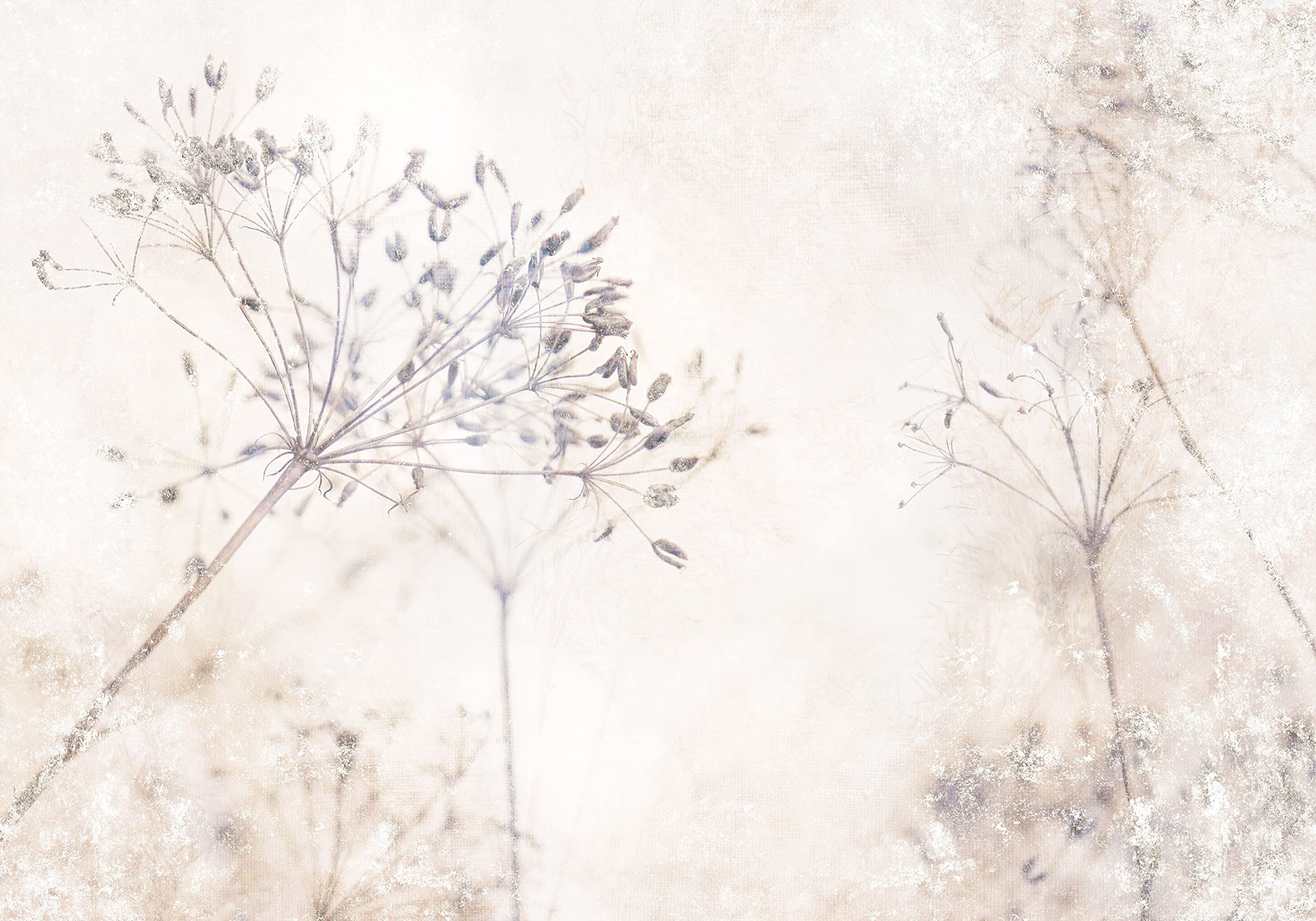 decomonkey Premium Fototapete Natur 400x280 cm XXL Design Tapete Fototapeten Vlies Tapeten Vliestapete Wandtapete moderne Wandbild Wand Wohnzimmer Deko Pflanzen Blumen Steinwand Vintage Retro beige