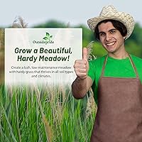 Vista 5 de Outsidepride Semilla de hierba nativa india – 1 libra de semillas de pradera perenne, de bajo mantenimiento, tolerantes a la sequía para hábitat