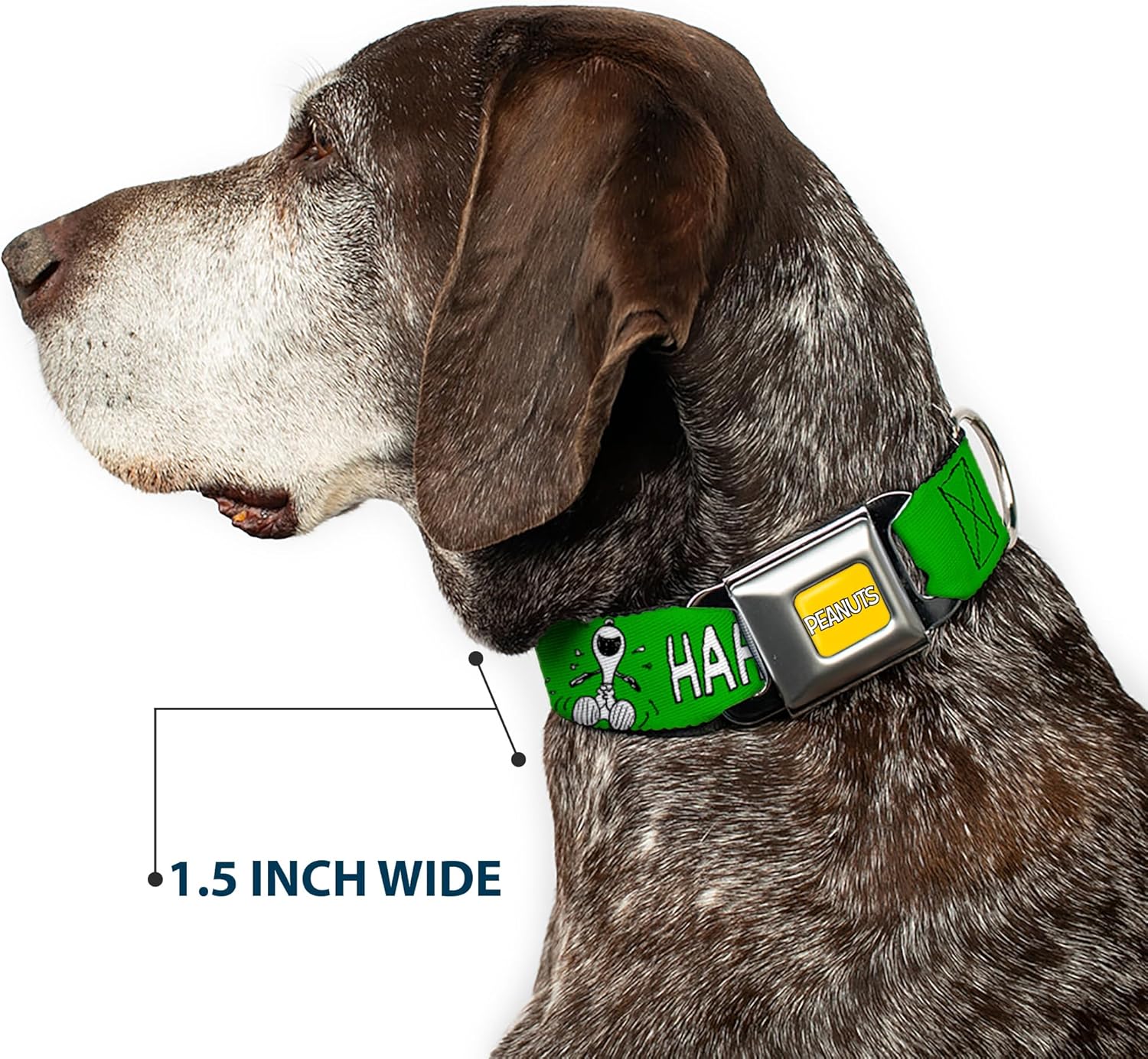 Peanuts Worldwide LLC Pet Collar, Dog Collar Metal Seatbelt Buckle, Peanuts Snoopy and Woodstock Laughing HaHa Pose Green, 9.5 to 13 Inches 1.0 Inch Wide
