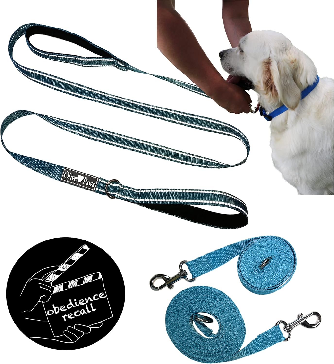 long outside dog leash