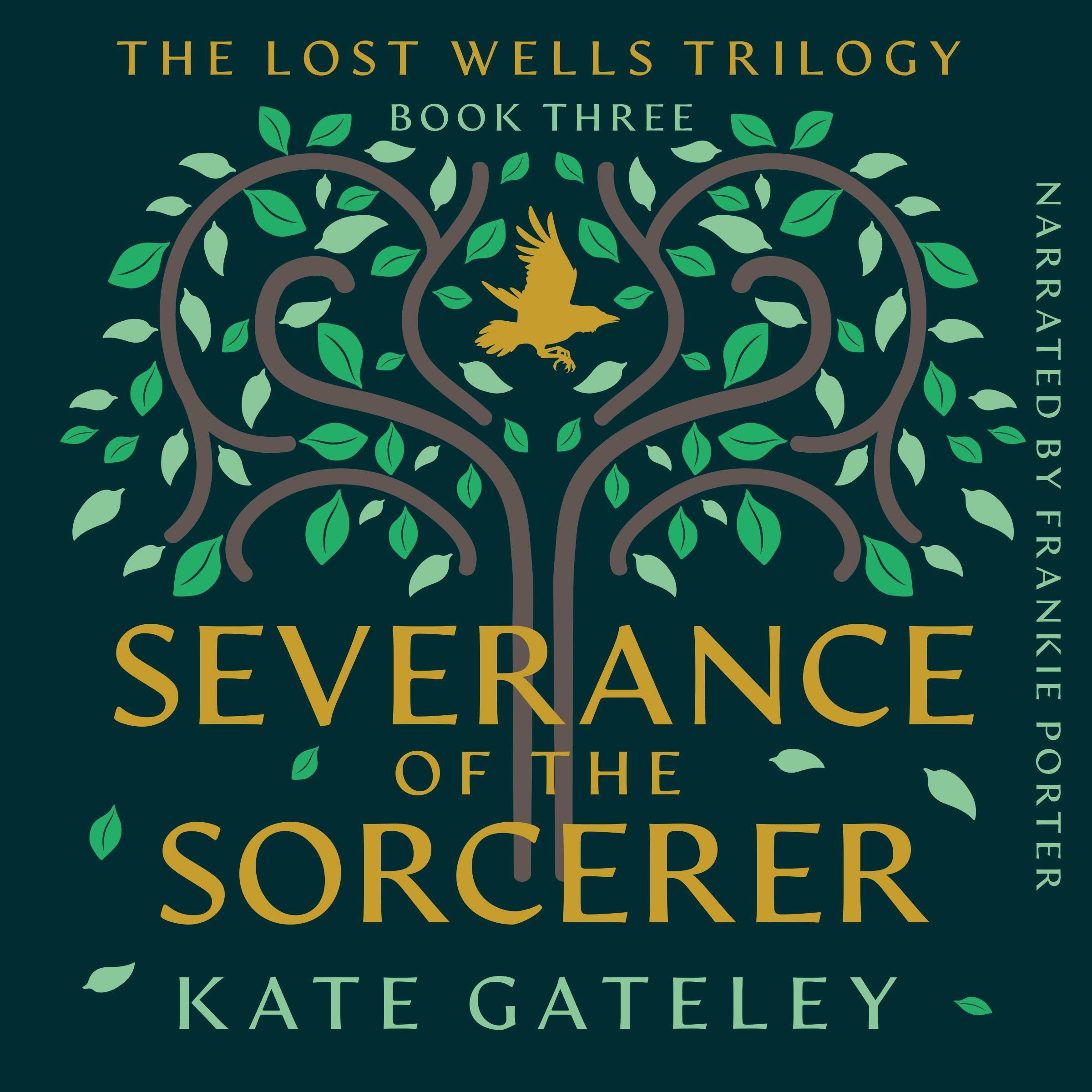 Cover art for Severance of the Sorcerer