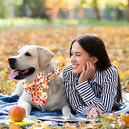 Miniatura 3 de Tunkoo Collar de perro con bonito patrón de calabaza y pavo con corbatín, duradero, ajustable y elegante, collar para mascotas de Acción de Gracias,