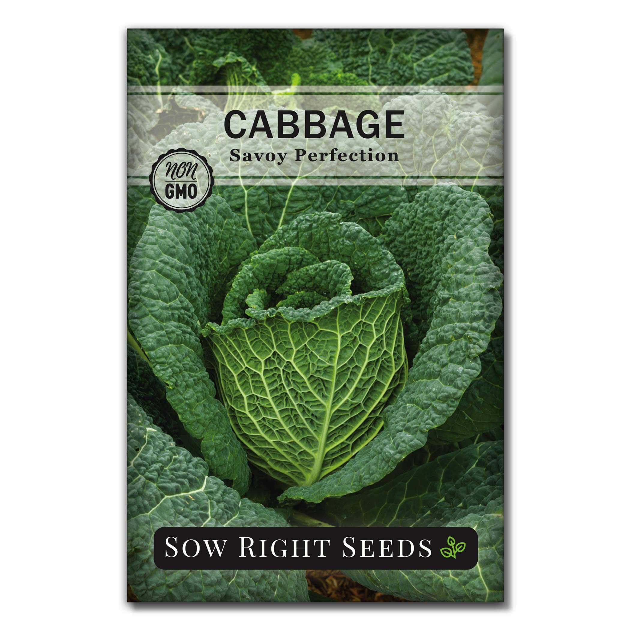 Sow Right Seeds - Savoy Perfection Cabbage Seeds for Planting - Non-GMO Heirloom Packet with Instructions to Plant an Outdoor Home Vegetable Garden - Crinkled, Interesting Texture & Mild Taste (1)