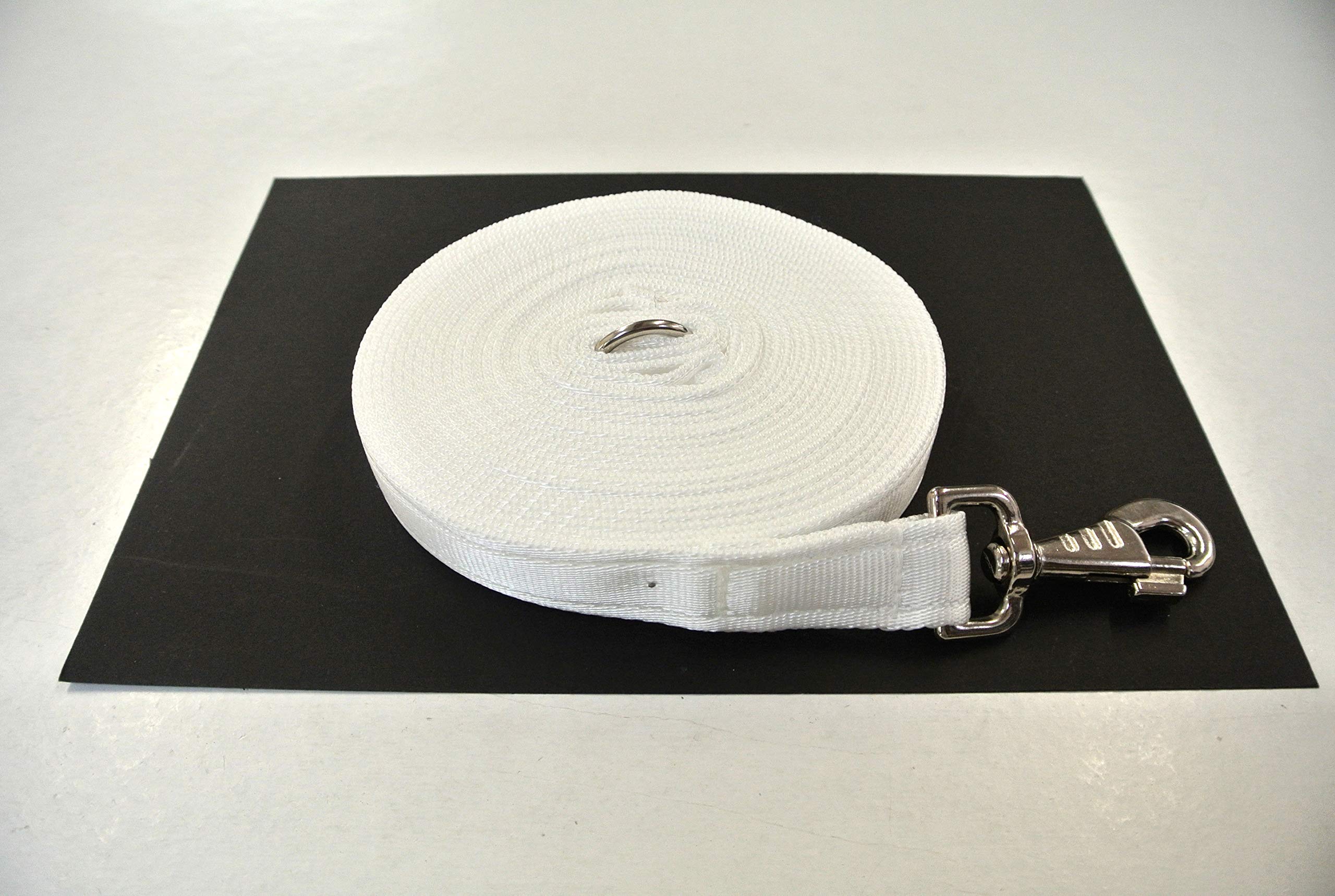 20ft 6m Horse Lunge Line Large Dog Training Lead Large 25mm Cushioned Webbing And Heavy Duty Fluted Trigger Clip In (White) — image 1