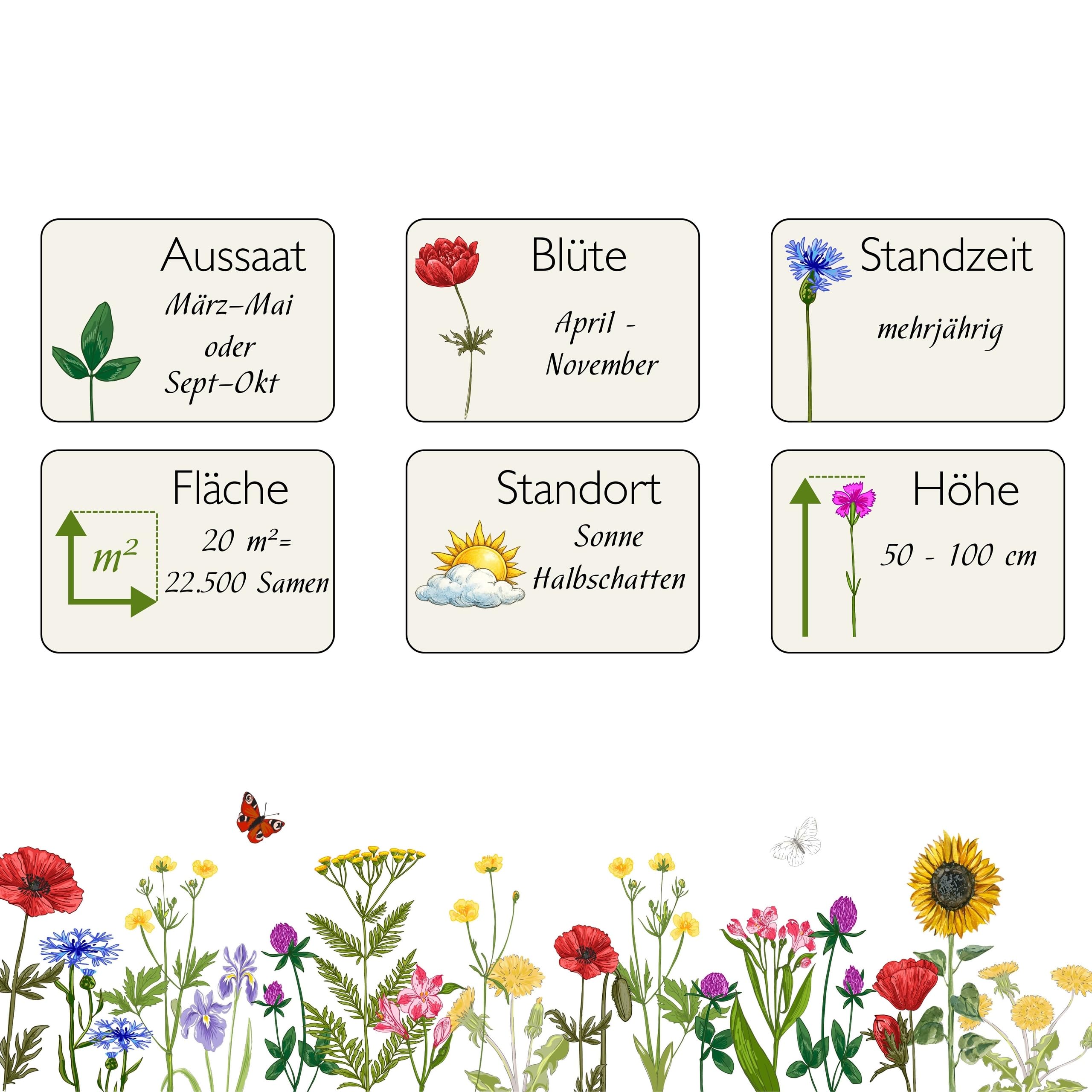 Blumenwiese mit 65 Wildkräuterarten, fünfjährige Bienenweide, insektenfreundliche Blühwiese, wilde mehrjährige winterharte Samenmischung für Bienen Hummeln und Schmetterlinge, Blumenwiesen (20qm)
