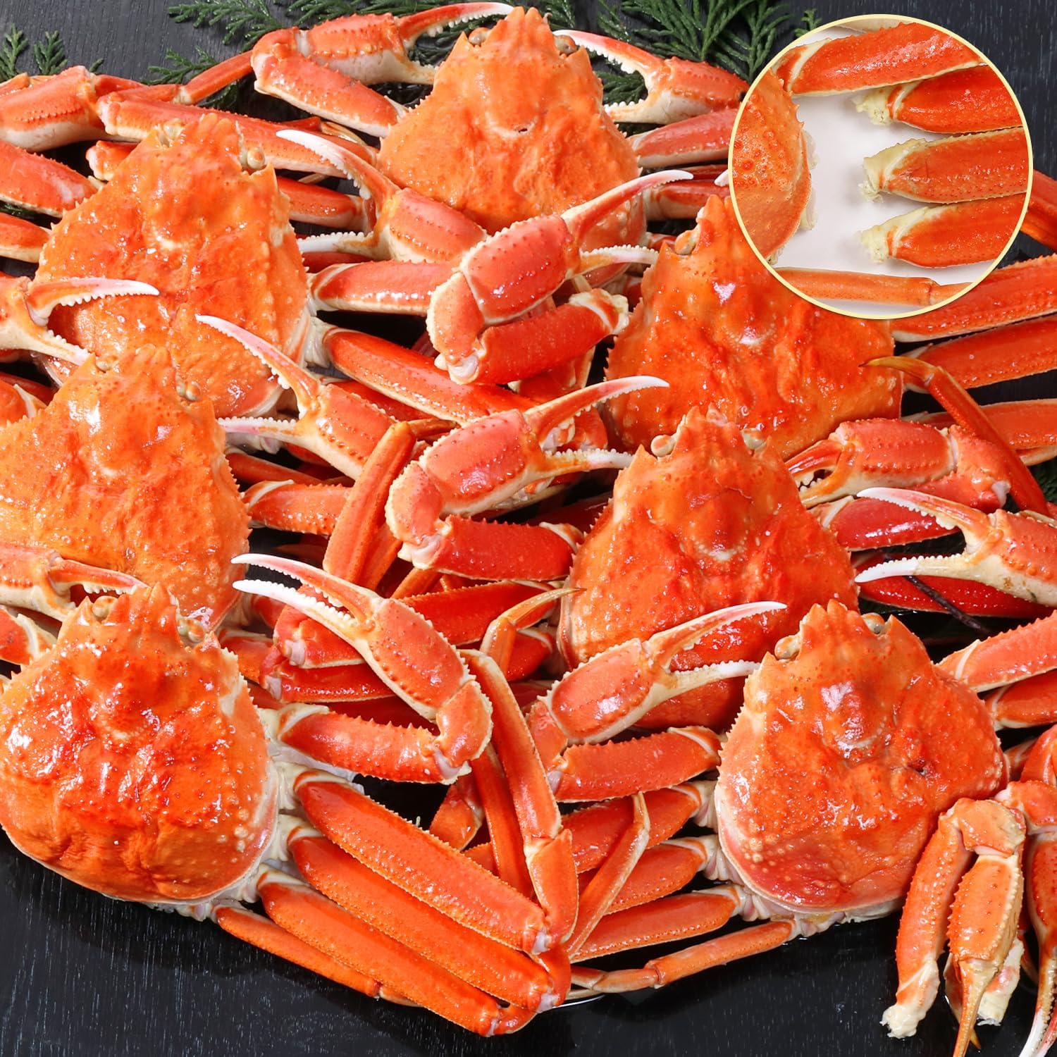 タラバガニ　半むき身セット 1.8kg 新鮮だ！冬の味覚！】 甲羅組 カット 生 ズワイガニ 1kg 特大＆極太