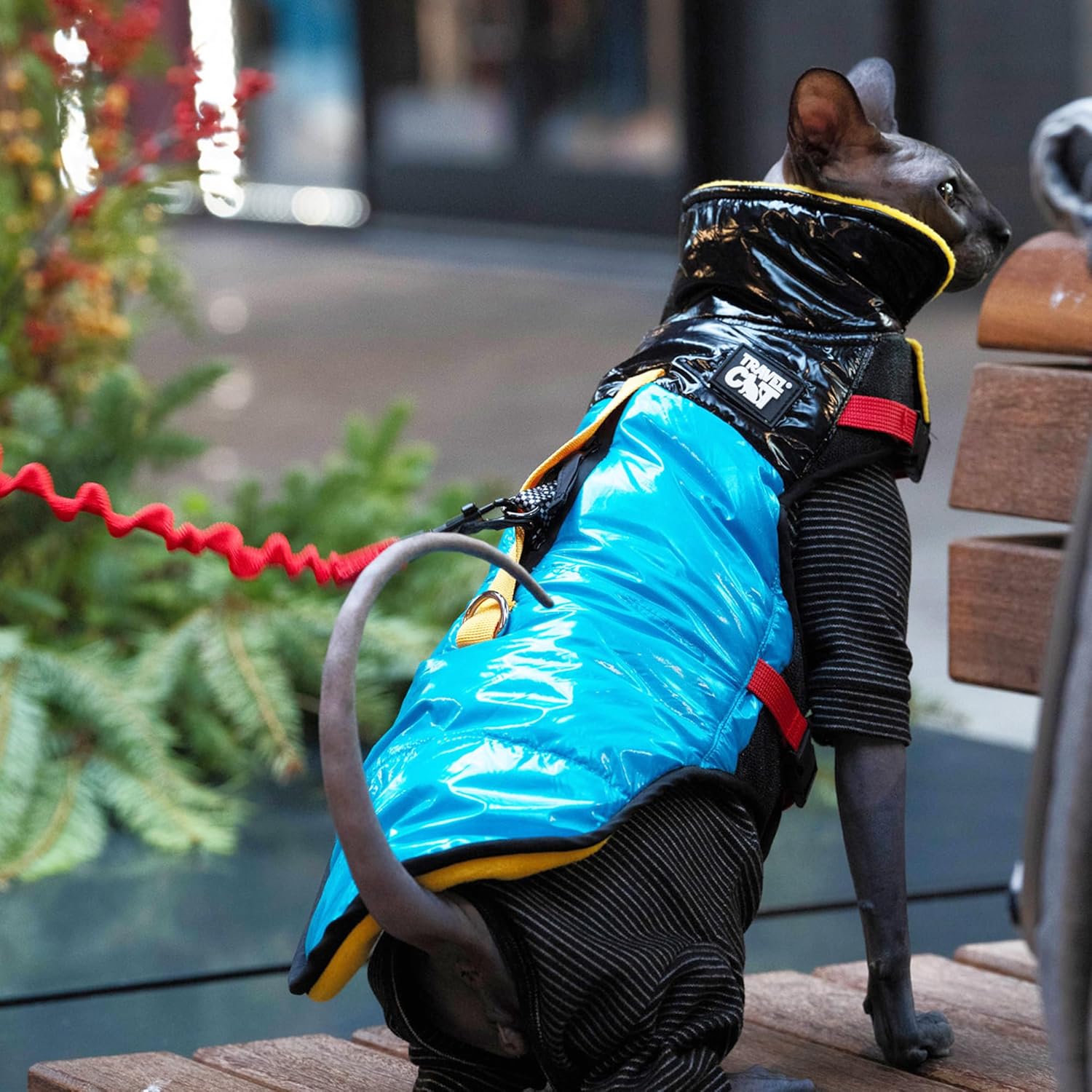 The Catagonia Puffer Jacket Harness for Cats — Insulated Fleece-Lined Cold-Weather Cat Jacket with Built-in Harness & Leash Clip — Water-Resistant Outdoor Adventure Vest (Medium)