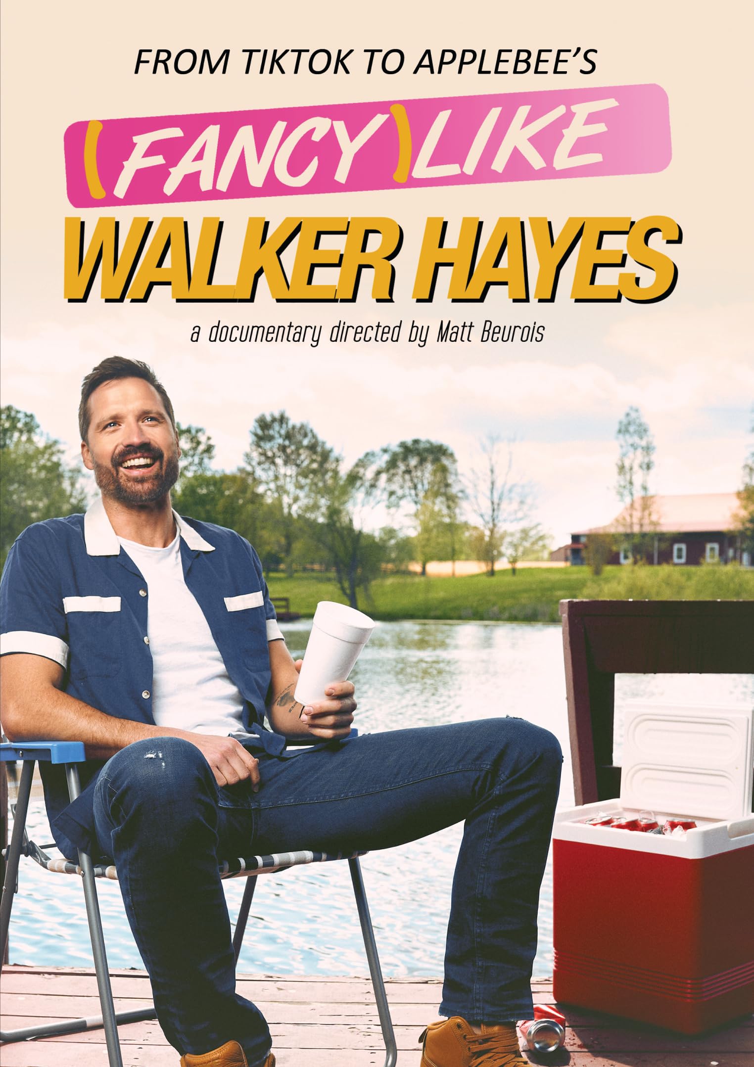 Fantasía como Walker Hayes DVD música country estadounidense disco de colección musical