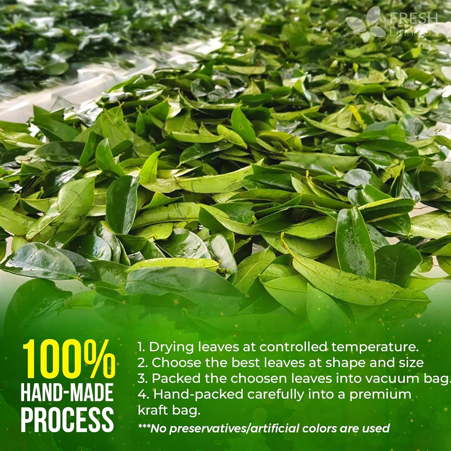 FreshDrinkUS, 120+ Premium Soursop Graviola Dried Leaves Tea, 40 Cups, 120-130 Natural Leaves, Whole Leaves, Wildcrafted, Graviola, Hoja Guanabana, Soursop Loose Leaf Herbal Tea, No Gluten, Vegan - Image 8