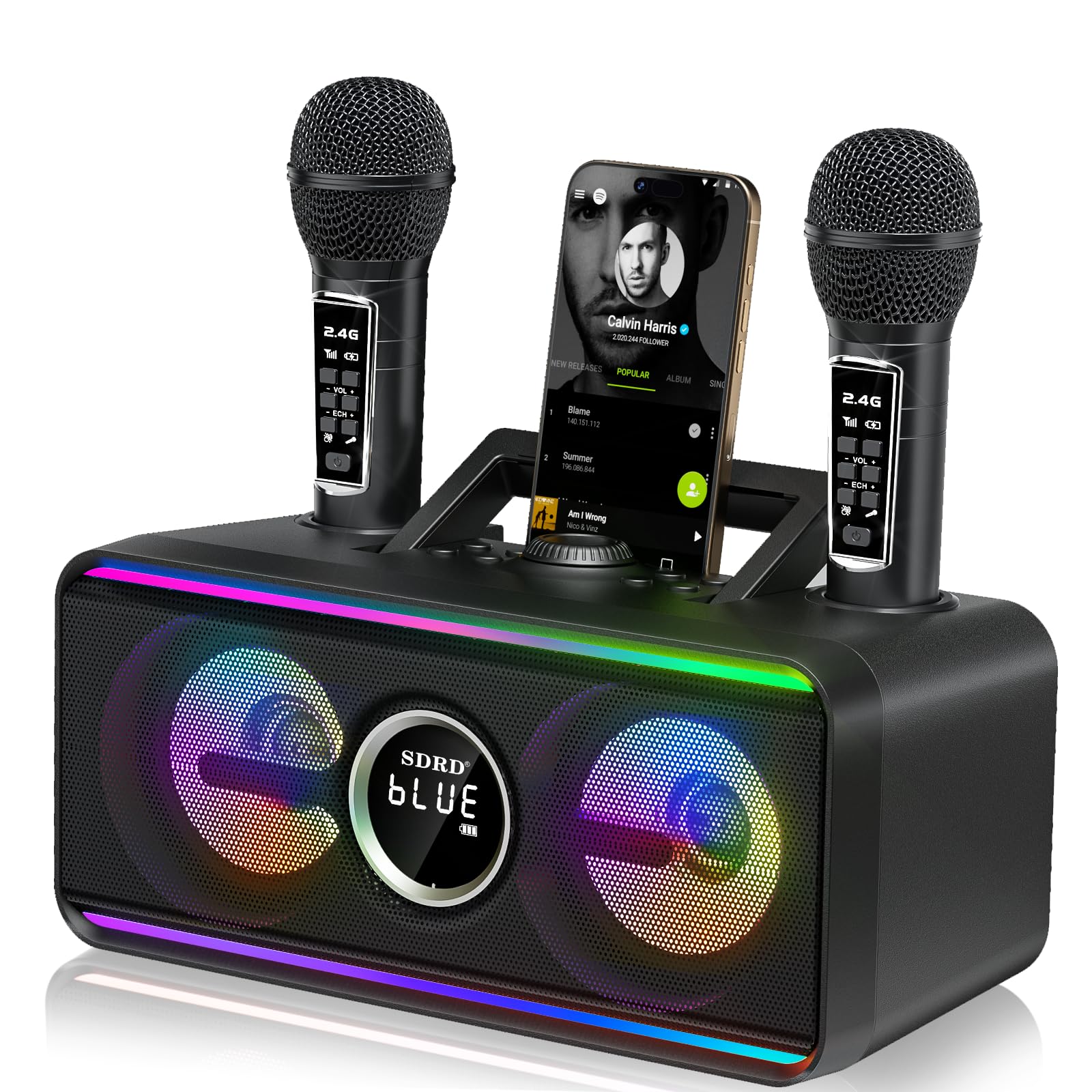SDRD 216 Bluetooth Karaoke Machine for Adult Kid with Storage and Charging Station, Powerful Karaoke System, 12H Playtime
