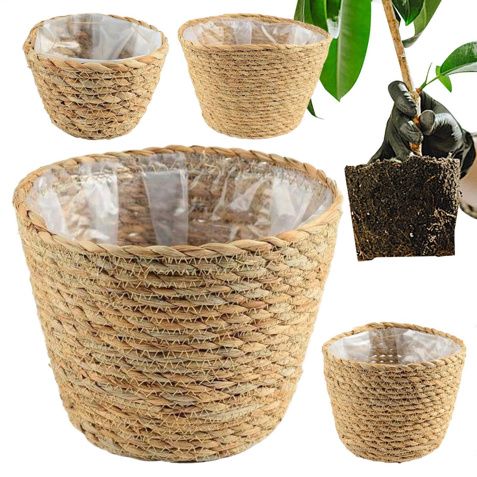 Pot de fleurs rustique pour décorer votre balcon, cuisine ou rebord de fenêtre