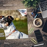 Vista 1474 de Razas de Perros 2017