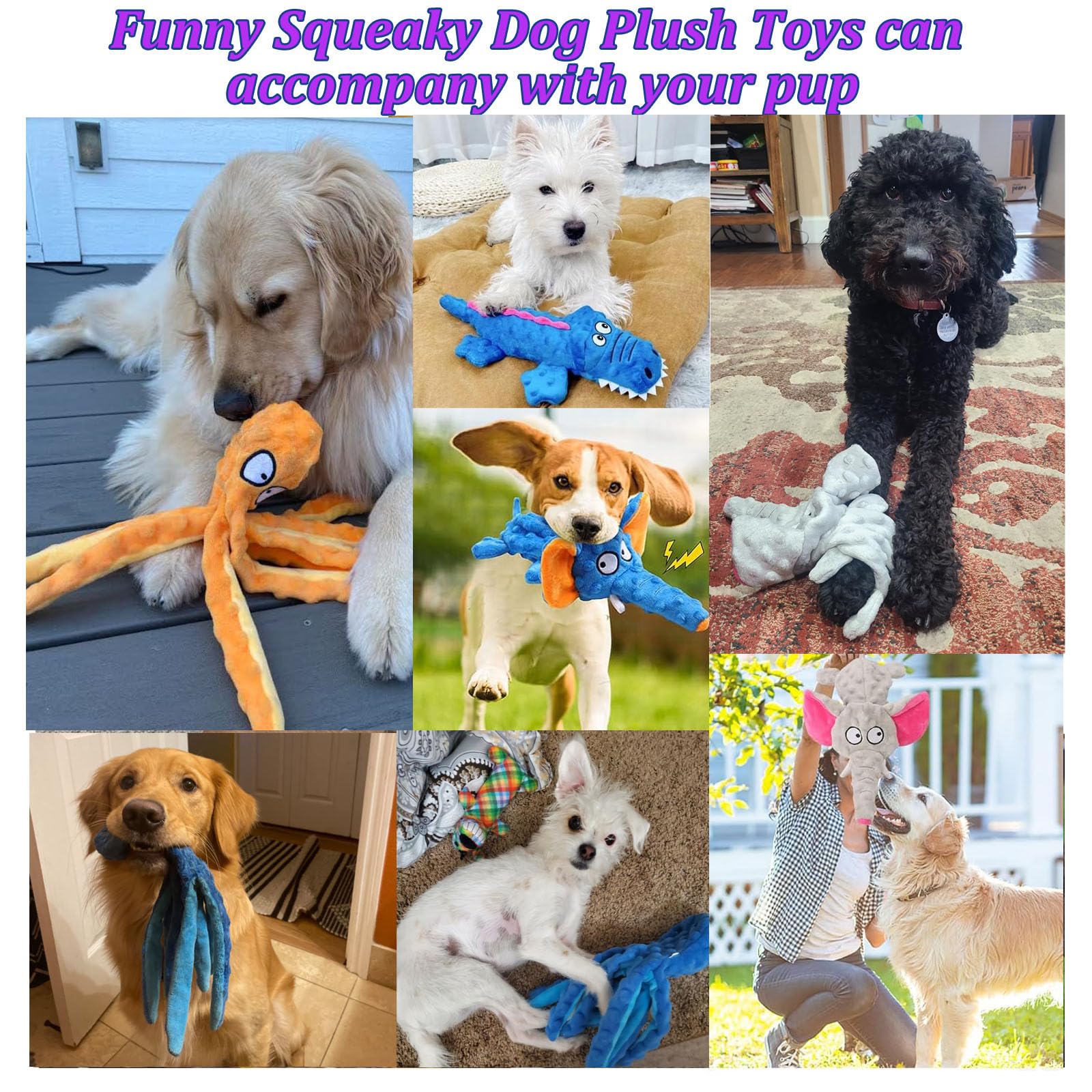 EXPAWLORER Quietschendes Hundespielzeug – Plüsch-Spielzeug Mit Knisterpapier & Quietscher – Für Welpen & Hunde