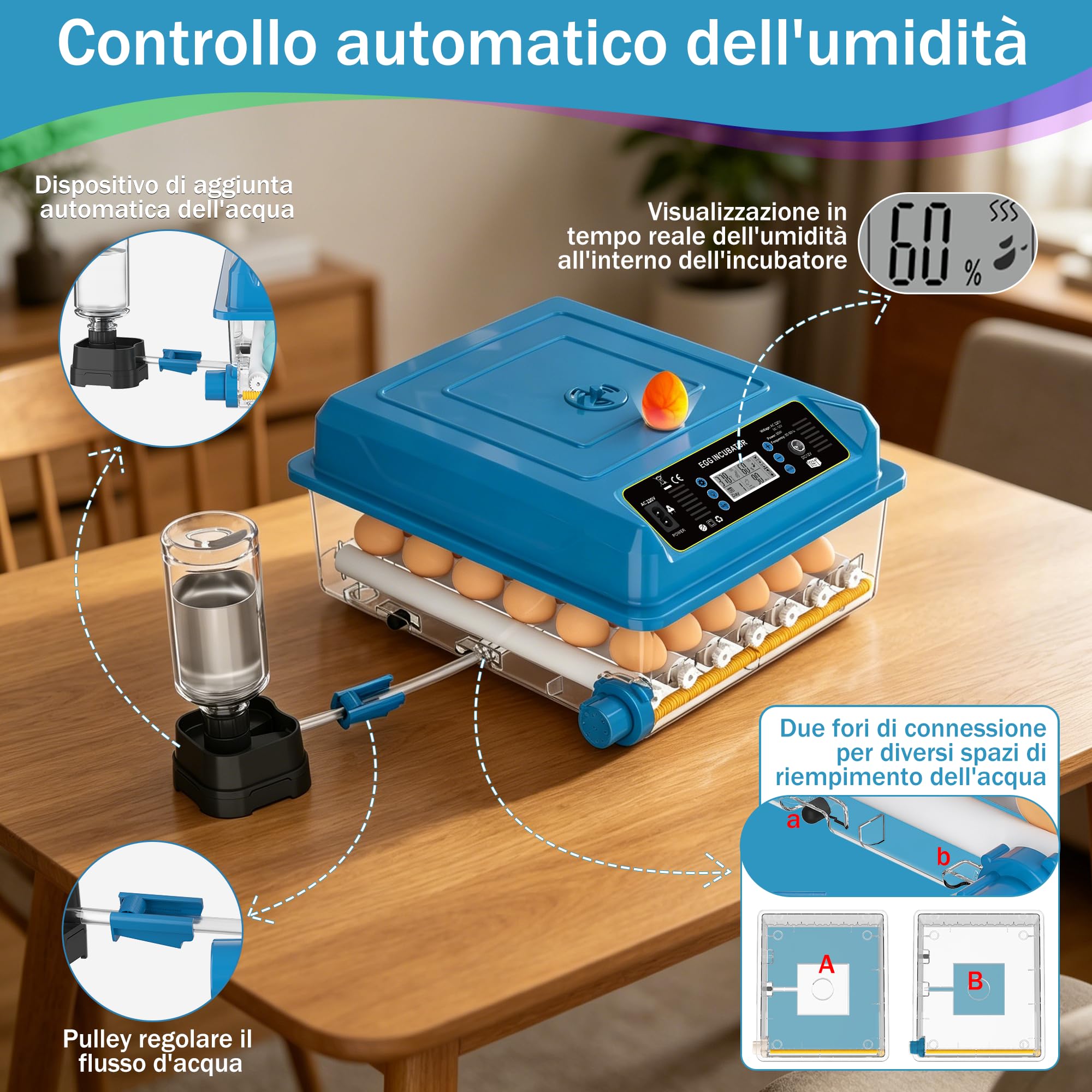 incubatrice automatica 36 uova, 5 modalità cova auto, regolatore acqua esterno, controllo temperatura, rotazione uova auto, display cova, per galline anatre oche (Blu)