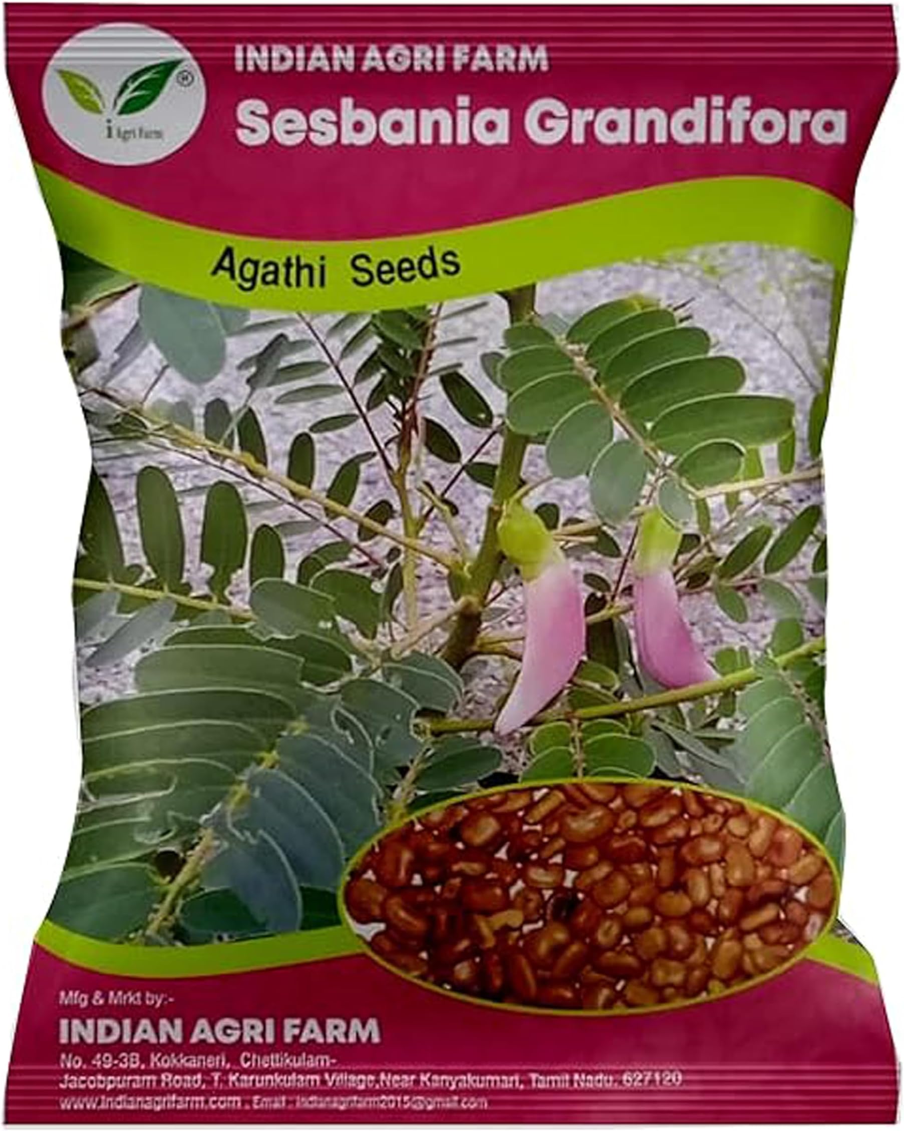 Iagrifarm Sesbania/Agathi/Gaach Munga/August Tree/Humming Bird Tree Seed - 1 kg for Cultivation