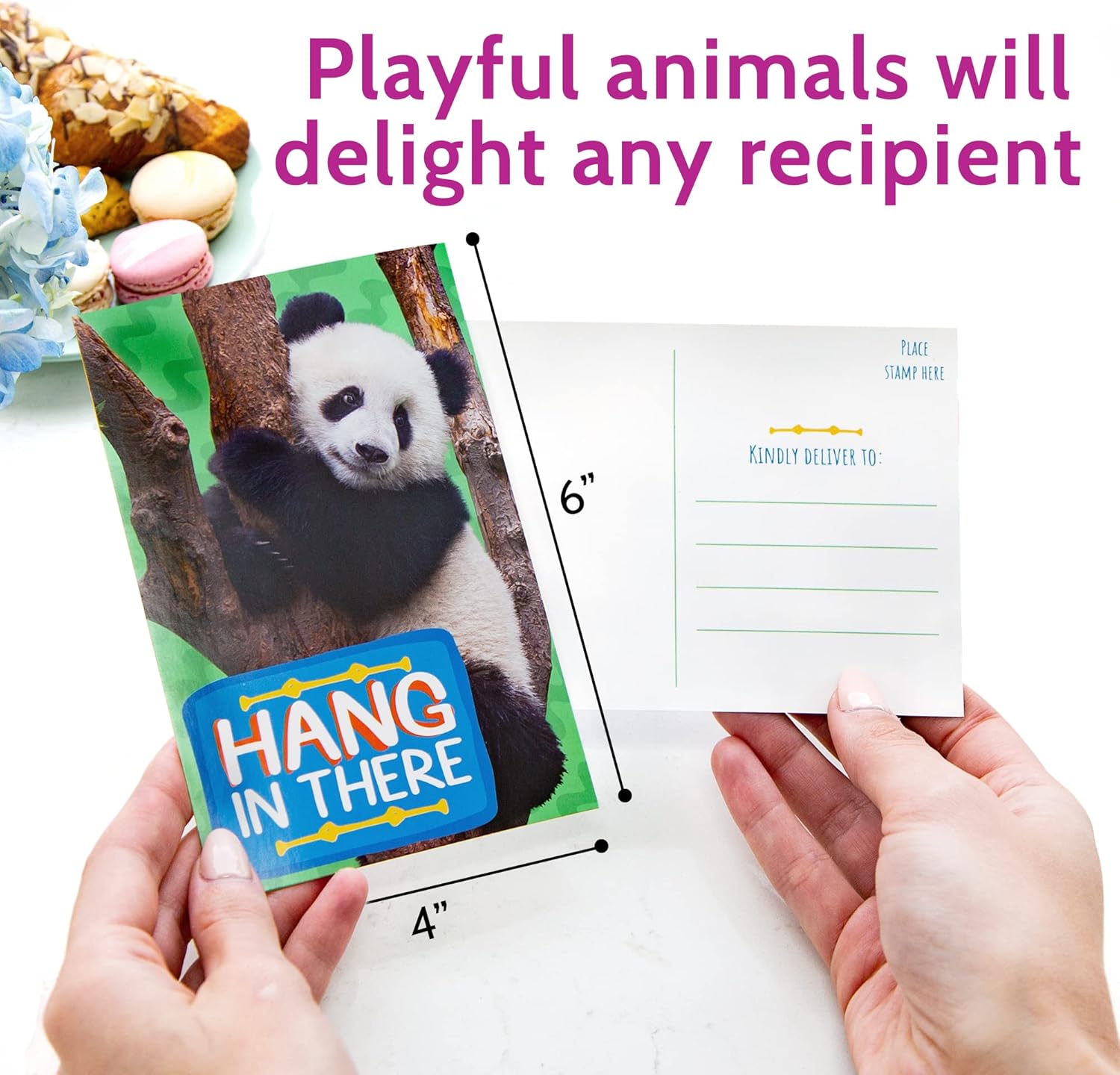 T MARIE 40 Funny Animal Postcards - Bulk Thinking of You Postcard Pack for Kids, Students, Friends, Teacher and More - Say Hello, Thank You or I Miss You with Cute Note Cards - Image 3