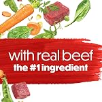 Beneful Originals Dry Dog Food, Real Beef - 7 kg Bag