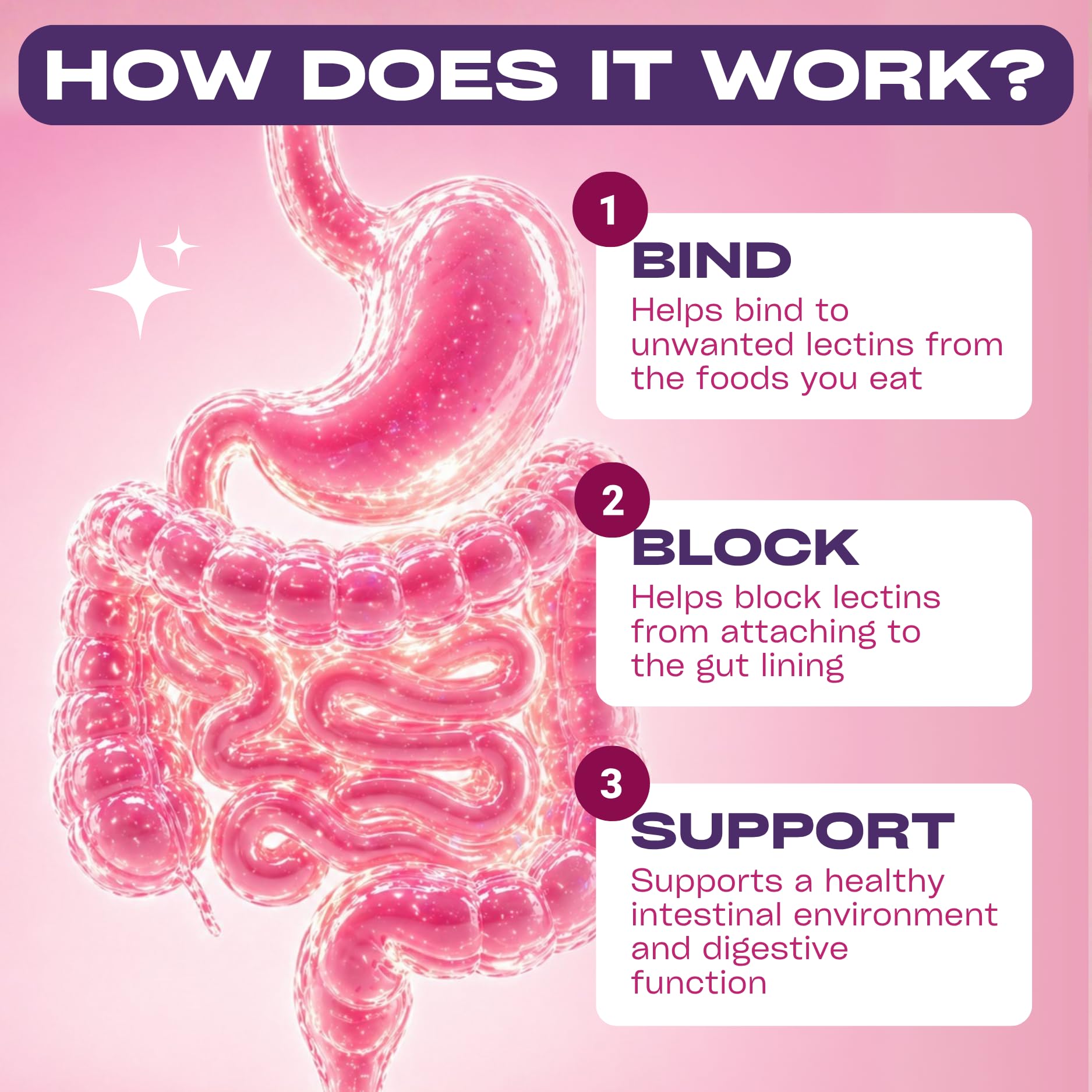 GOBIOTIX Lectin Defense - Lectin Blocker Supplement for Leaky Gut with MSM and Digestive Enzymes - Aids in Intestinal Health for Women and Men - Non-GMO + Gluten Free - 60 Capsules (2) — Amazon image 3