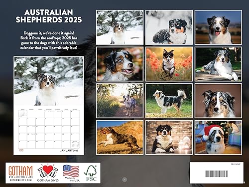 Vista 88 de Calendario Goldendoodle 2026 Golden Doodle mensual de pared calendario de 12 meses Fabricado en Estados Unidos