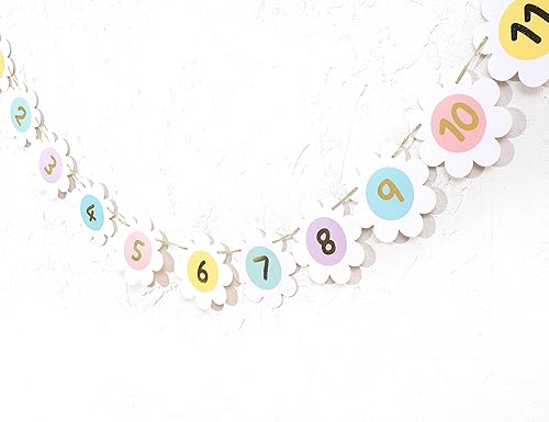 Miniatura 7 de Cartel de fotos mensual de margaritas, decoración de primer cumpleaños de margaritas bohemias, margarita arcoíris pastel, guirnalda de fotos de