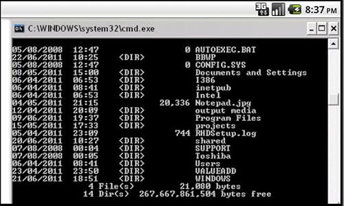 Remote command prompt – vue 2