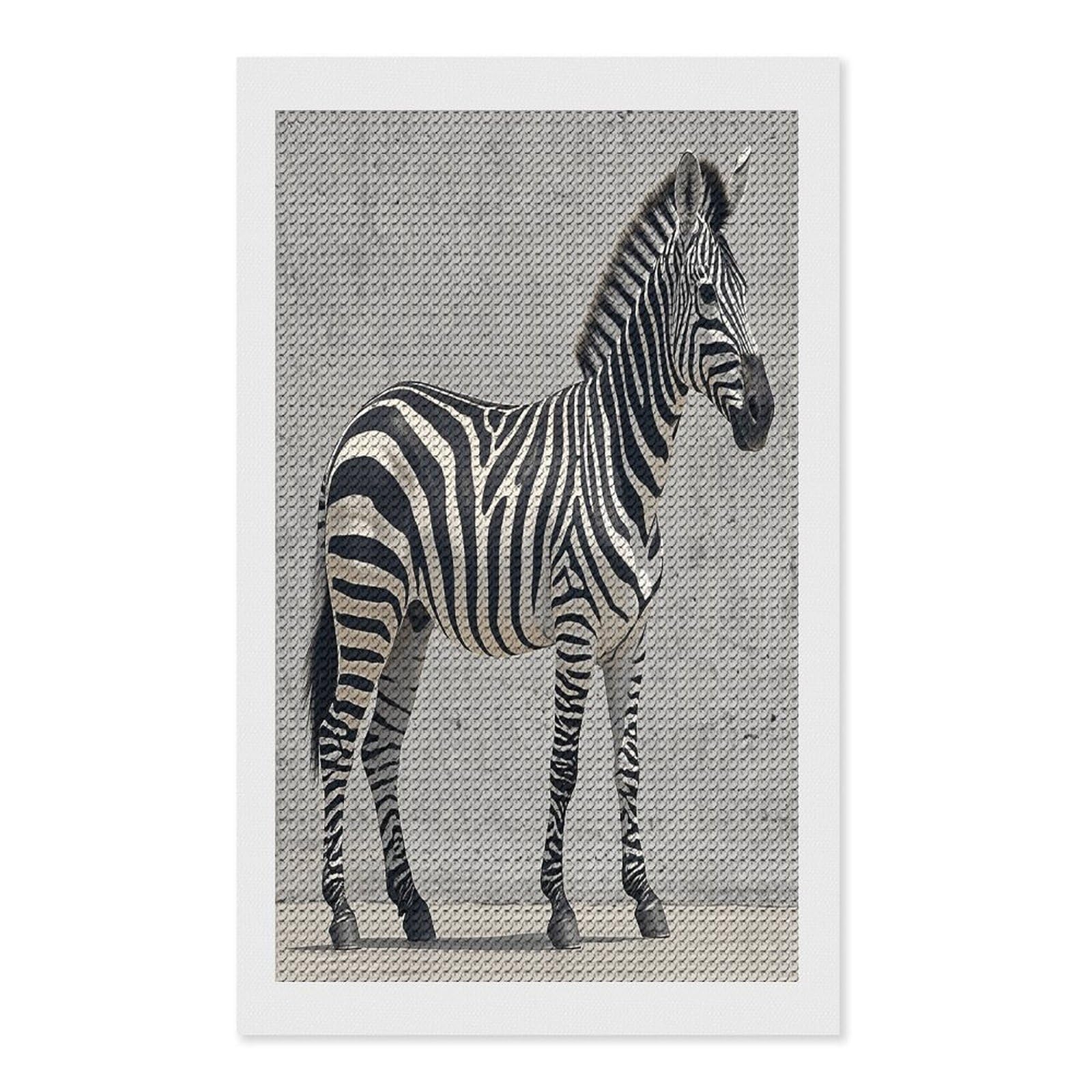 FekiLoot Zebra on The Wall Diamond Painting Kits for Adults Full Round Drill Diamond Art Kits for Beginners 5D DIY Diamond Dots Paintings Diamonds Pictures Gem Art Home Wall Decor 12"x20"
