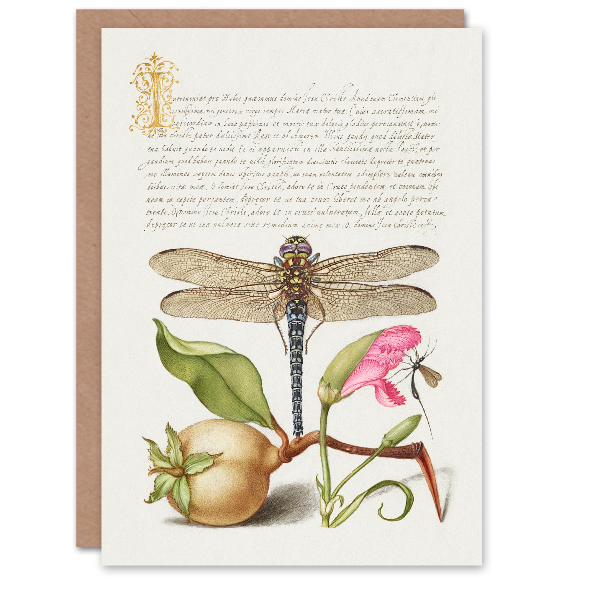 Artery8 Model Book of Calligraphy Art Card Dragonfly Pear and Carnation