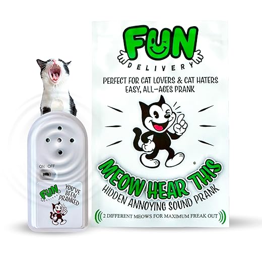 FUN delivery Meow Hear This: Hidden Cat Sound Prank Device to Prank Friends & Family – Fun Joke Toy for Parties & Offices – Perfect for Pranksters