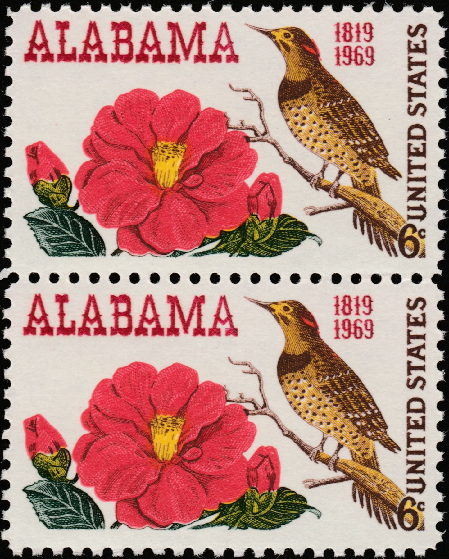 Yellowhammer And Camellia Alabama State Bird And Flower OC] Finally