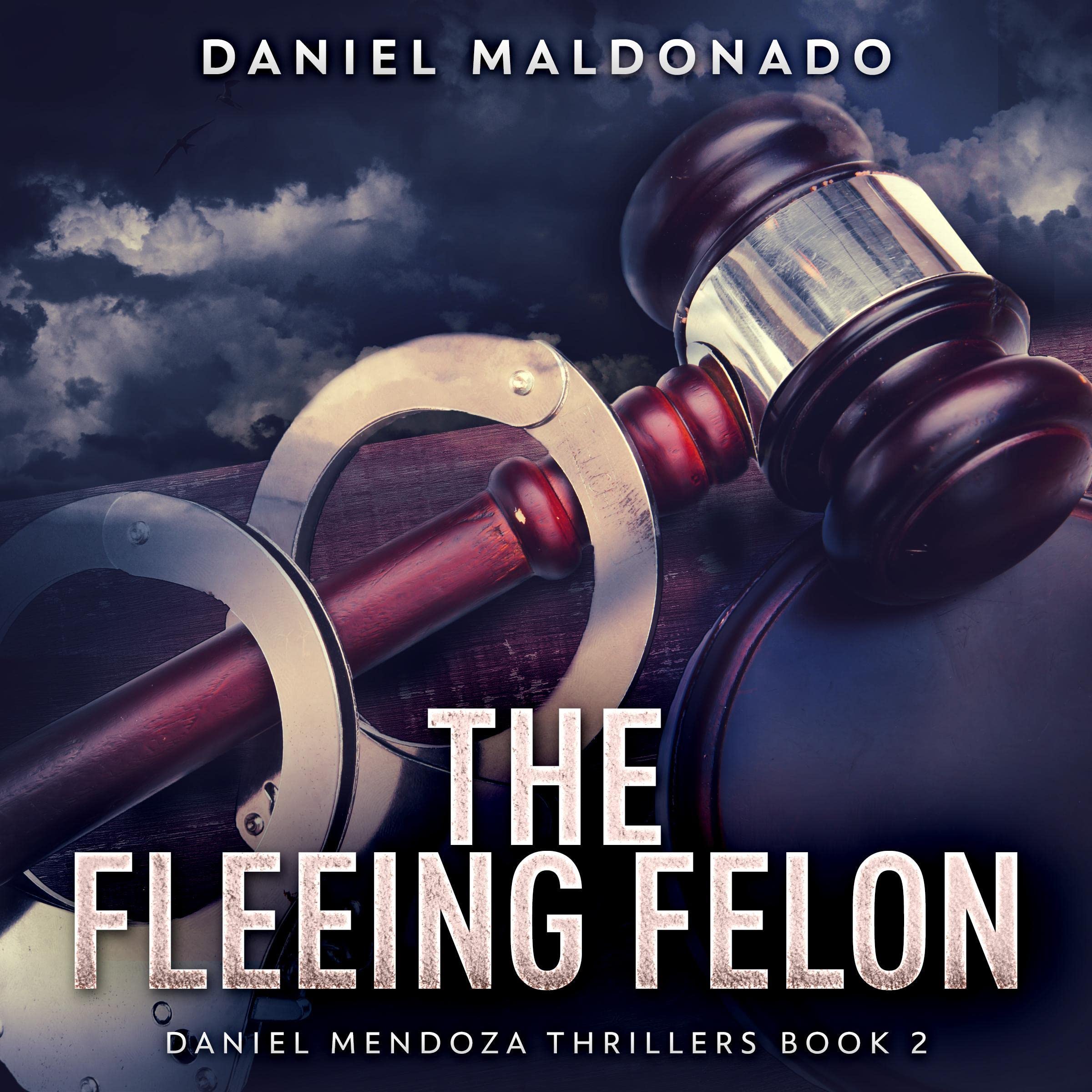 The Fleeing Felon