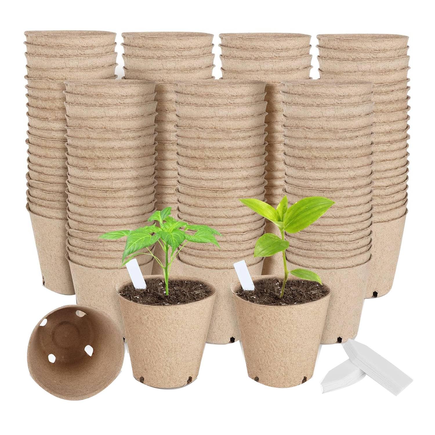 Lot de 130 pots de tourbe organique, pot de pépinière de 3,15 pouces, pots ronds pour semis de plantes avec trous de drainage, initiateur de graines