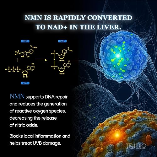 Miniatura 3 de Crema de renovación intensiva NMN - Lujoso tratamiento nocturno con NMN 70,000PPM, resveratrol y crecimiento 9