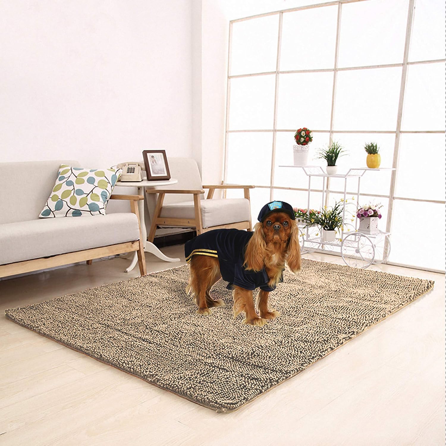 Meilocar 23''x34'' Pet Dog Mat Ultra Absorbent Soft Floor Mat, Pet Bed Mat/Rug for Dogs & Cats, Bathroom Non-Slip Doormat,…