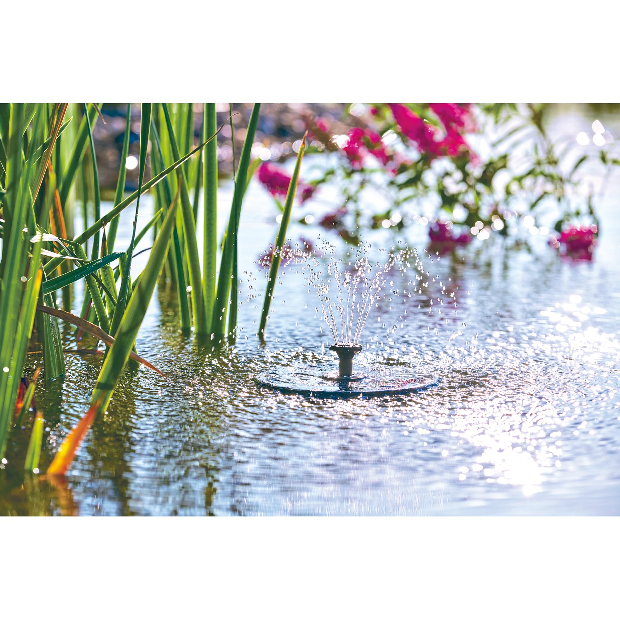 Pontec PondoSolar LED Island Pompe de jeu d'eau solaire avec LED et batterie Fontaine solaire pour étang et petit jardin