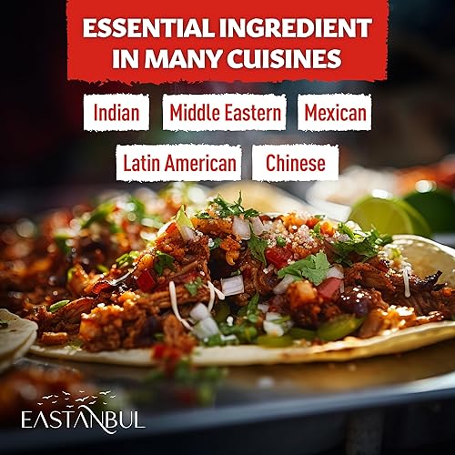 Miniatura 6 de Eastanbul Semillas de cilantro enteras, 9.9 onzas, cilantra, cilantro para cocinar, especias para decapado, enlatado, biltong, pechuga de cornbeef,