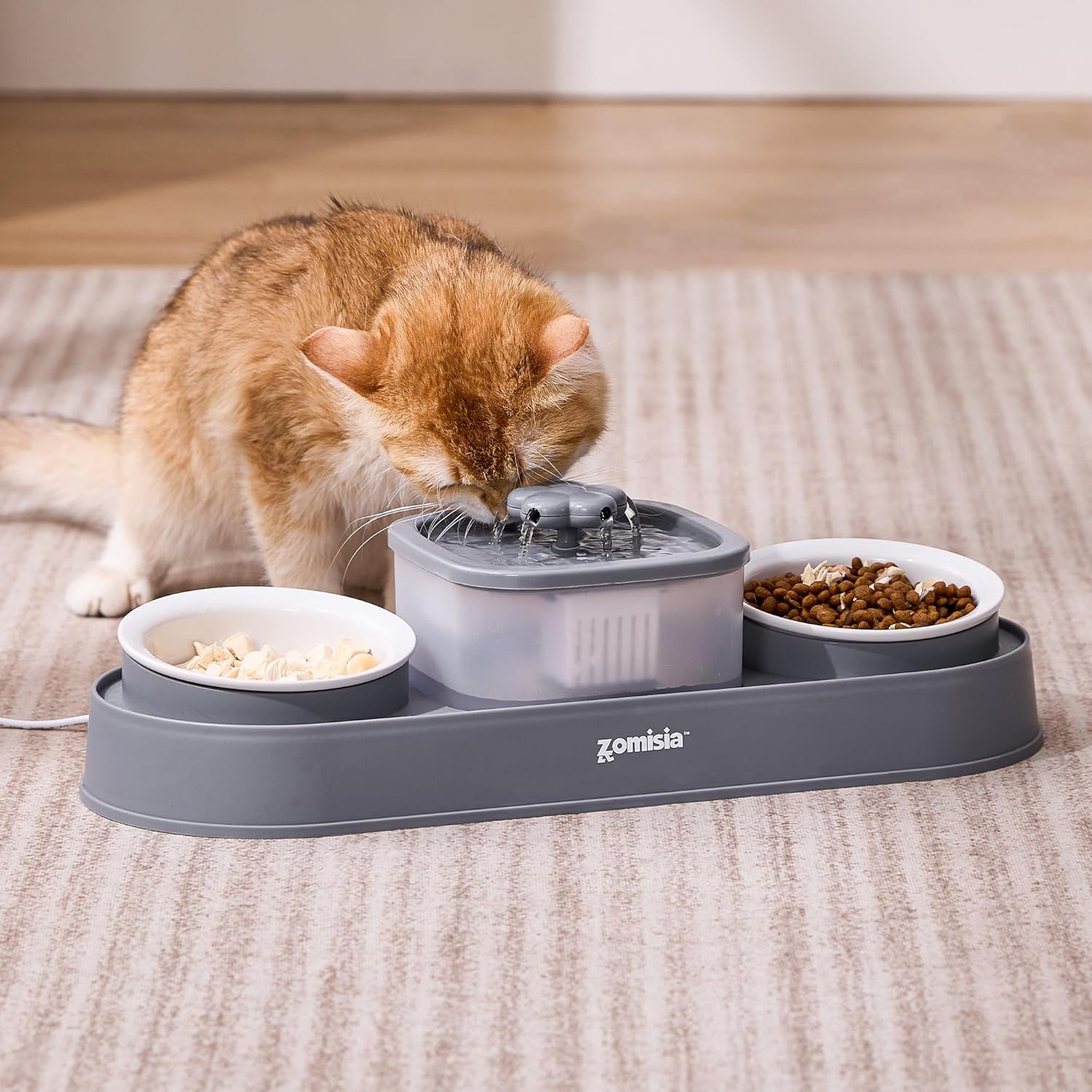 Cat Water Fountain and 2 Ceramic Food Bowls