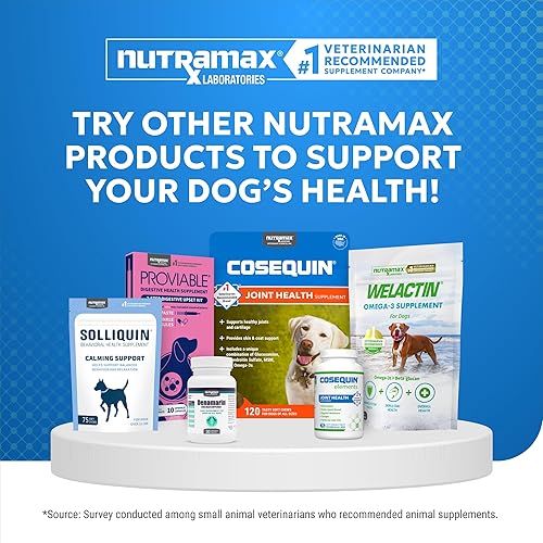 Miniatura 7 de Nutramax Cosequin Suplemento de salud articular de fuerza estándar para perros, con glucosamina y MSM, 75 tabletas masticables (paquete de 2)