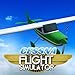Cessna Flight Simulator