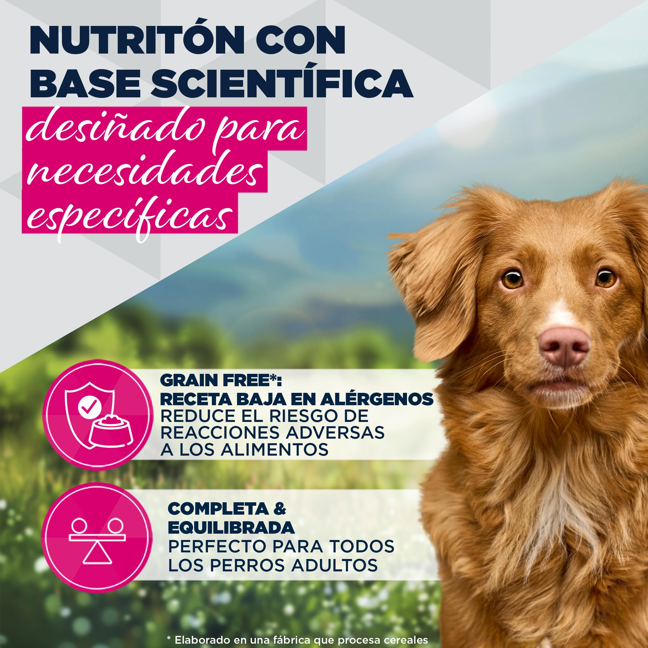 Eukanuba Alimento húmedo EUKANUBA Special Care para Perros Adultos, Mono-Protein de Pollo 6 x 400 g